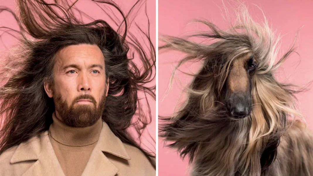 10 Pictures of Dogs and Their Owners Who Look Alike